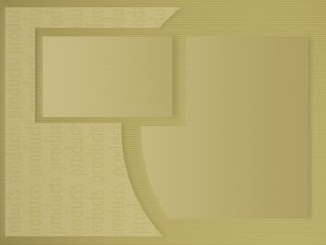 收益分析